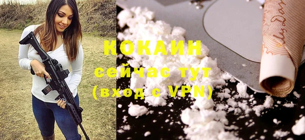 mix Няндома