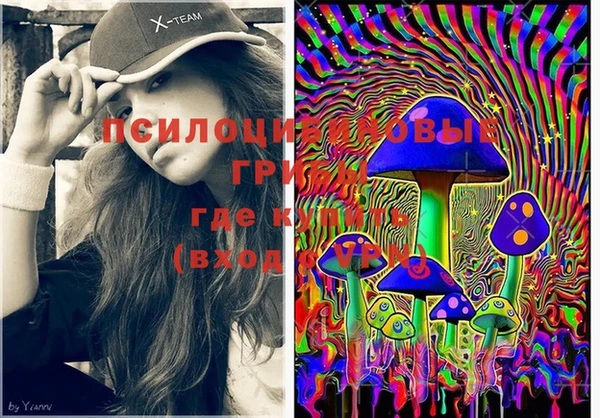 mix Няндома