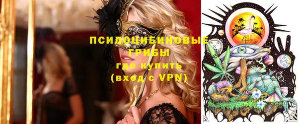 mix Няндома
