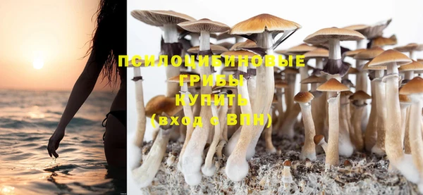 экстази Нязепетровск